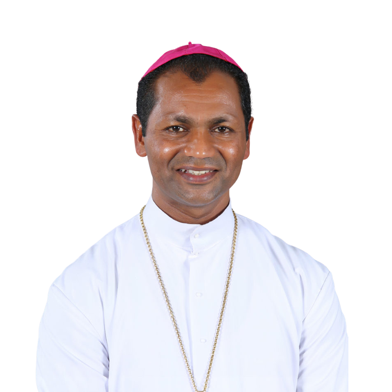 Auxiliary Bishop